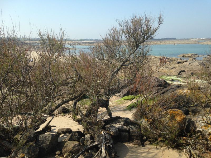 foto 15 Aluguer de frias entre particulares Barfleur maison Baixa-Normandia Mancha Vista dos arredores