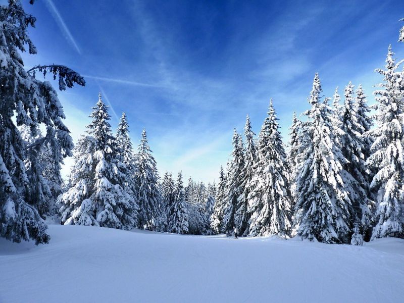 foto 7 Aluguer de férias entre particulares Gérardmer chalet Lorena Vosges