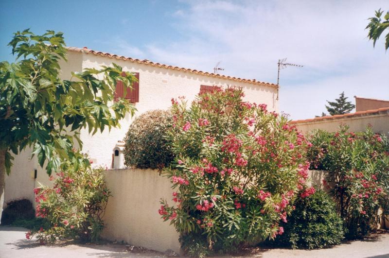 foto 0 Aluguer de frias entre particulares Le Barcares maison Languedoc-Roussillon Pirineus Orientais Vista exterior do alojamento