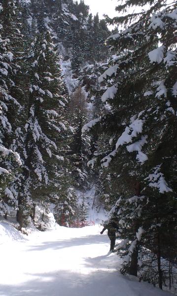 foto 17 Aluguer de frias entre particulares Valfrjus studio Rdano-Alpes Sabia Outras