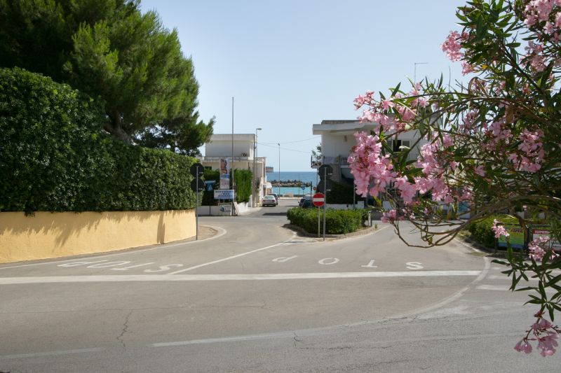 foto 12 Aluguer de frias entre particulares Torre Vado maison Puglia Lecce (provncia de) Vista desde do alojamento