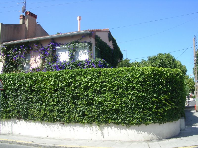 foto 0 Aluguer de frias entre particulares Perpignan maison Languedoc-Roussillon Pirineus Orientais Vista exterior do alojamento