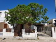 Aluguer frias Salento para 11 pessoas: appartement n 113769