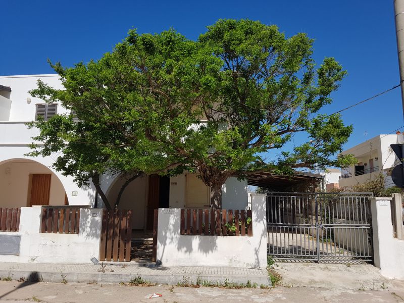 foto 0 Aluguer de frias entre particulares Lido Marini appartement Puglia Lecce (provncia de)