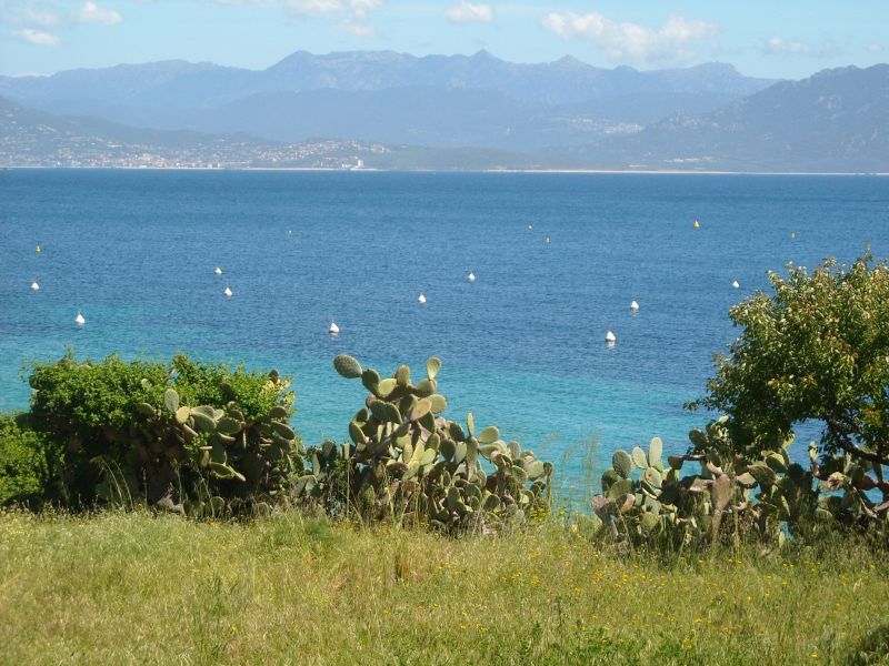 foto 10 Aluguer de férias entre particulares Porto Pollo villa Córsega Córsega do Sul Vista desde do alojamento