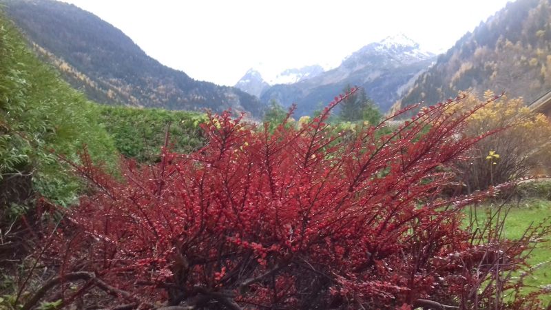 foto 6 Aluguer de frias entre particulares Les Contamines Montjoie appartement Rdano-Alpes Alta Sabia