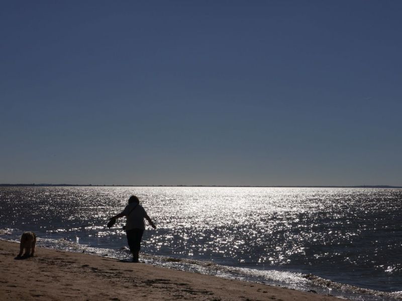 foto 7 Aluguer de frias entre particulares Rochefort sur Mer appartement Poitou-Charentes Charente-Maritime