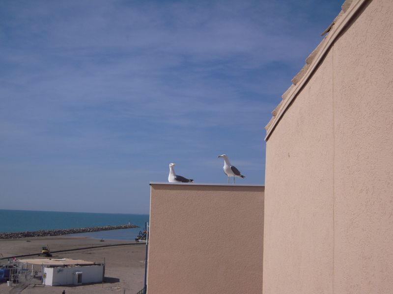 foto 11 Aluguer de férias entre particulares Sete appartement Languedoc-Roussillon Hérault