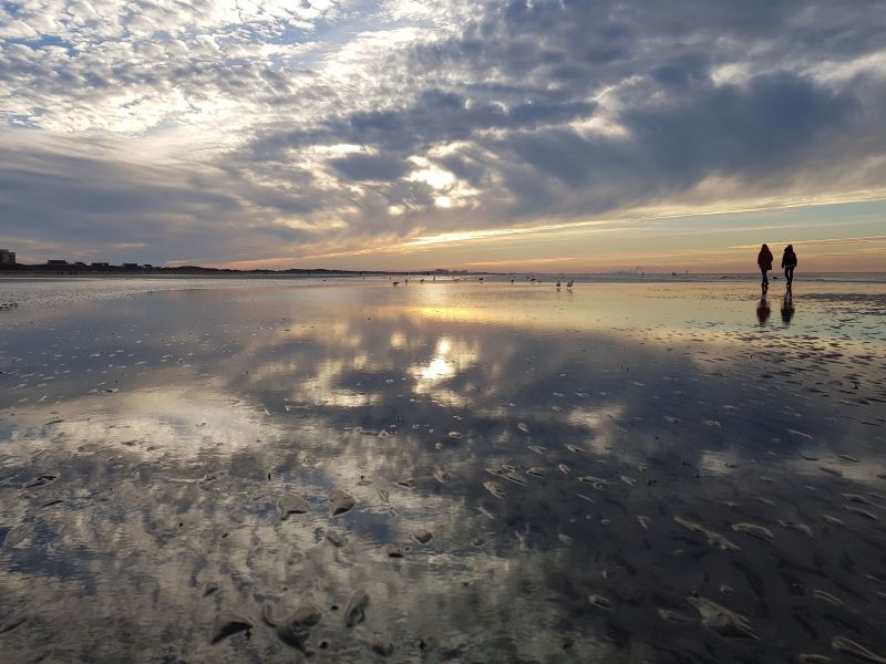 foto 10 Aluguer de férias entre particulares La Panne studio Flandres ocidental  Praia