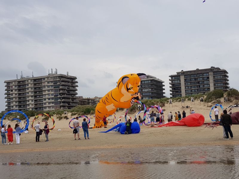 foto 12 Aluguer de férias entre particulares La Panne studio Flandres ocidental  Praia