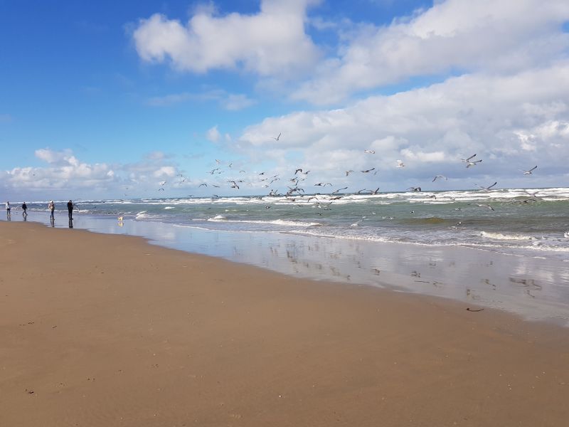 foto 20 Aluguer de férias entre particulares La Panne studio Flandres ocidental  Praia