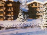 Aluguer estao de esqui Alpes Franceses: appartement n 125761