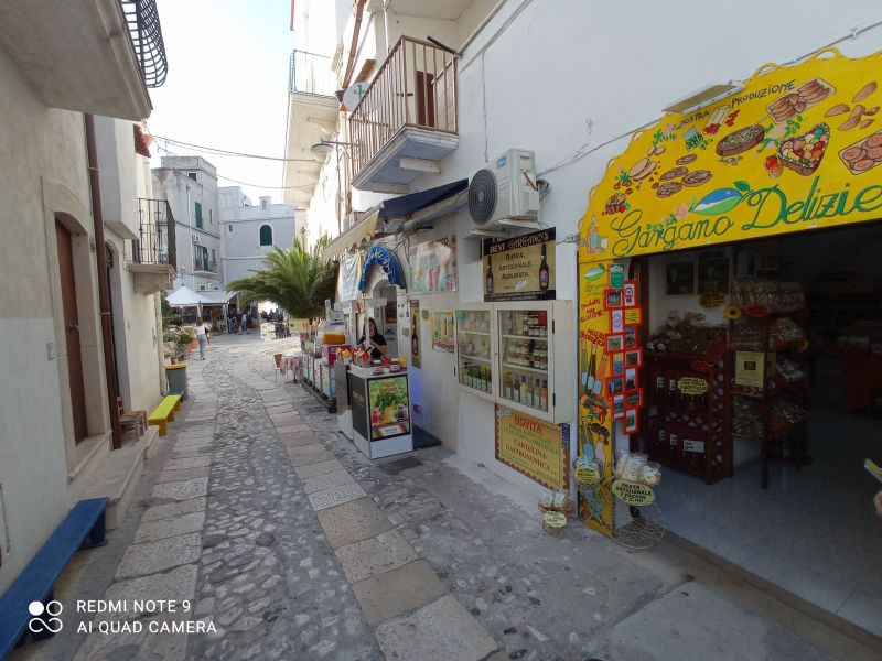 foto 13 Aluguer de férias entre particulares Peschici appartement Puglia  Outras