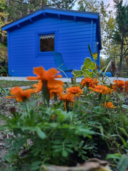 foto 7 Aluguer de frias entre particulares Gap insolite Provena-Alpes-Costa Azul  Jardim