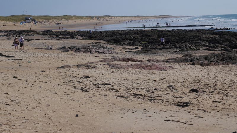 foto 17 Aluguer de férias entre particulares Bretignolles sur mer maison Pays de la Loire Vendée Vista dos arredores