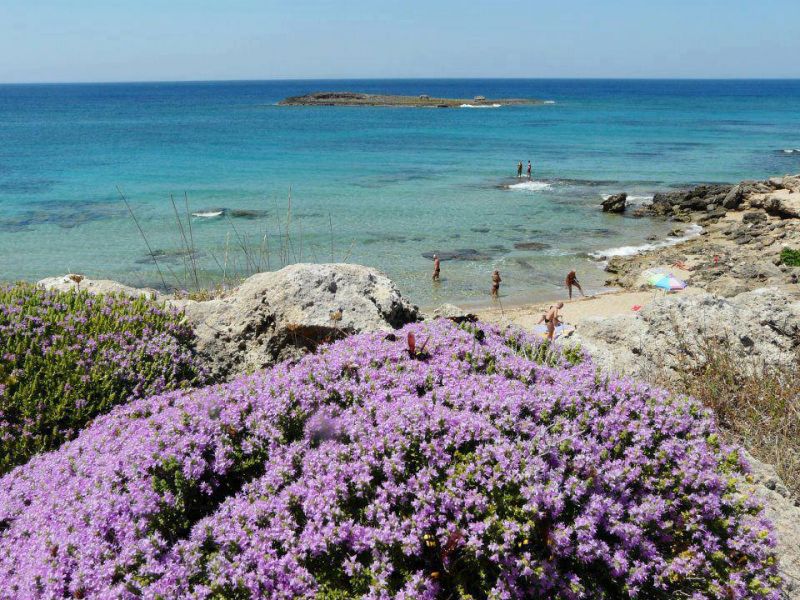 foto 19 Aluguer de férias entre particulares Ugento - Torre San Giovanni studio Puglia Lecce (província de) Vista dos arredores