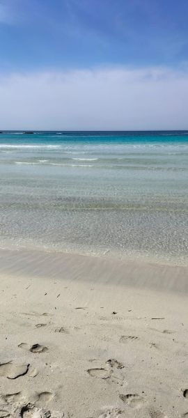 foto 27 Aluguer de férias entre particulares Ugento - Torre San Giovanni studio Puglia Lecce (província de) Praia