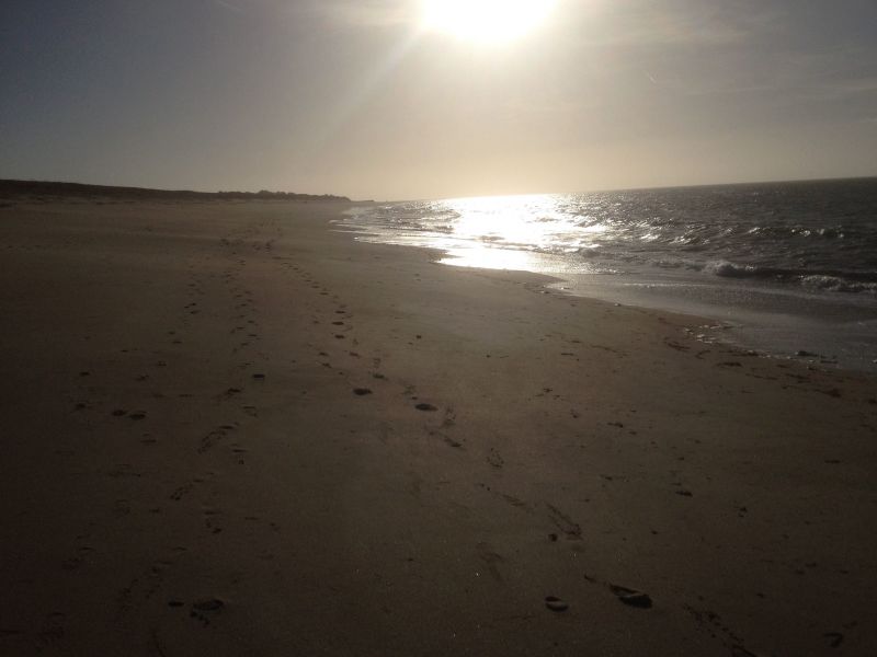 foto 13 Aluguer de férias entre particulares Noirmoutier en l'Île maison Pays de la Loire Vendée