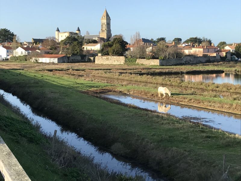 foto 16 Aluguer de férias entre particulares Noirmoutier en l'Île maison Pays de la Loire Vendée Outras