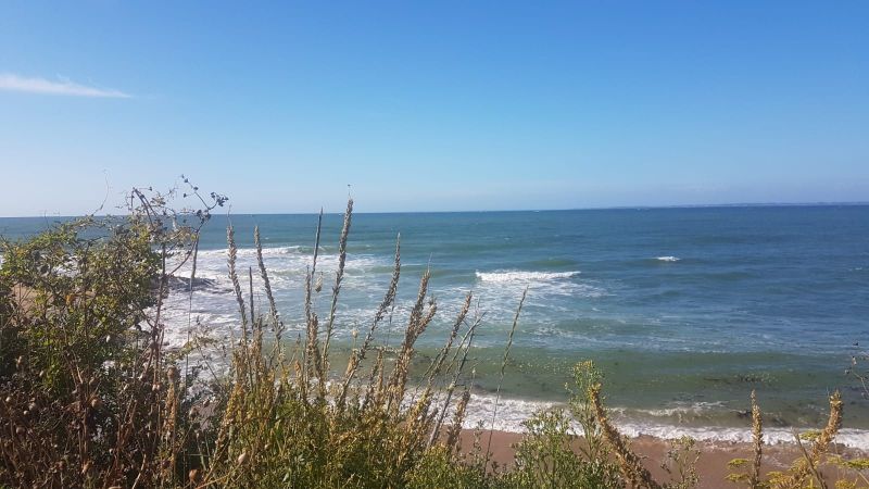 foto 14 Aluguer de férias entre particulares Noirmoutier en l'Île maison Pays de la Loire Vendée