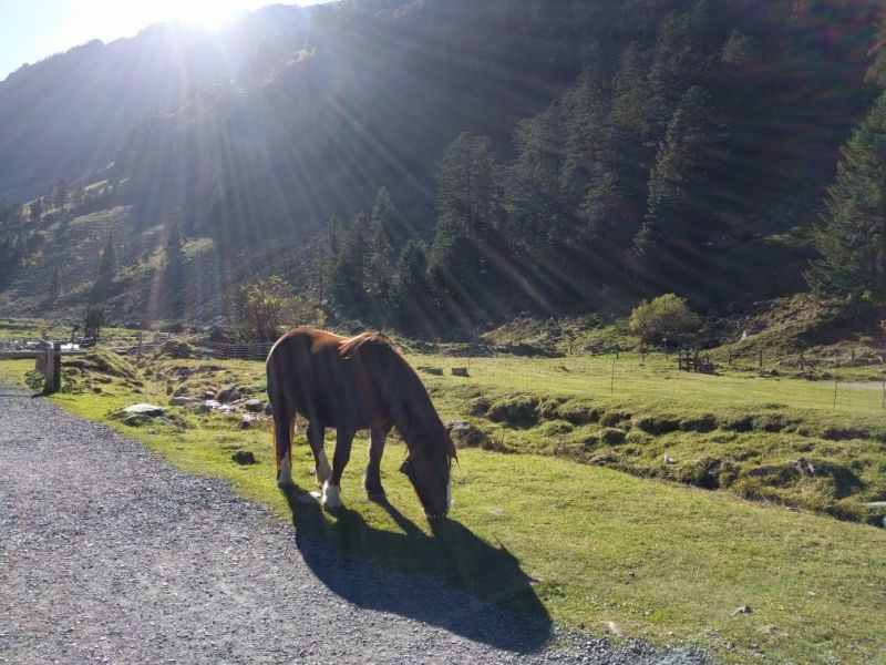 foto 14 Aluguer de férias entre particulares Cauterets studio Midi-Pyrénées Altos Pirineus