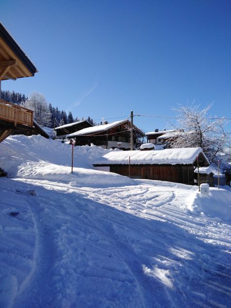 foto 1 Aluguer de frias entre particulares Praz sur Arly appartement Rdano-Alpes Alta Sabia Vista exterior do alojamento