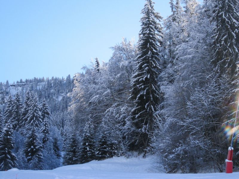 foto 12 Aluguer de frias entre particulares Praz sur Arly appartement Rdano-Alpes Alta Sabia