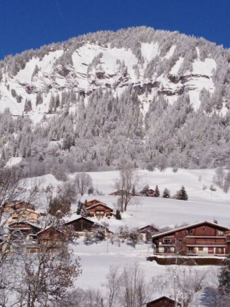 foto 14 Aluguer de frias entre particulares Praz sur Arly appartement Rdano-Alpes Alta Sabia