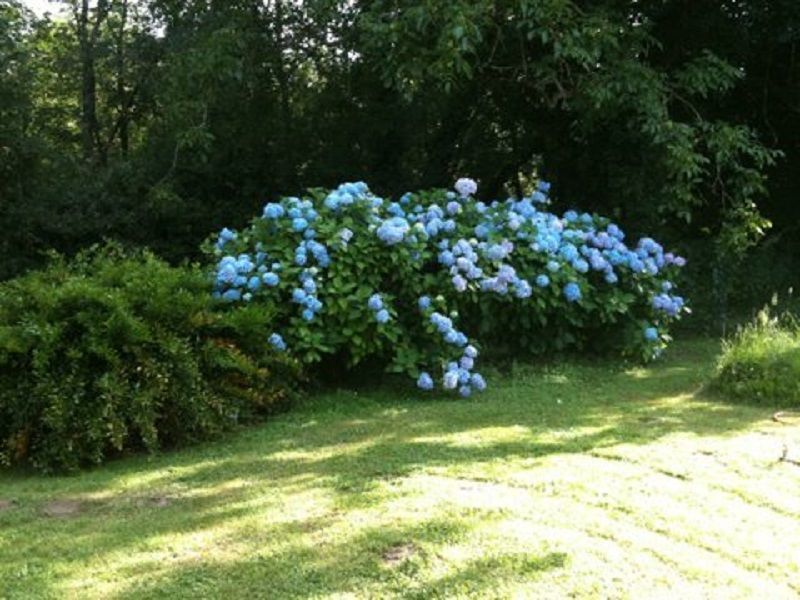 foto 14 Aluguer de frias entre particulares Bergerac gite Aquitnia Dordogne Jardim