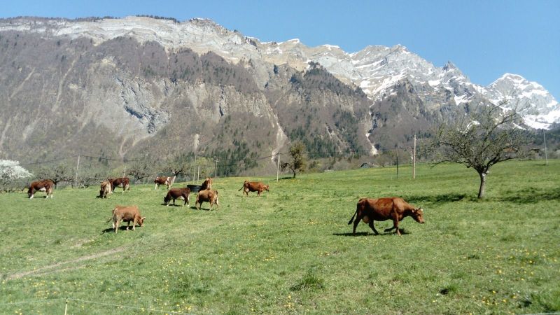 foto 15 Aluguer de frias entre particulares Albertville gite Rdano-Alpes Sabia Vista dos arredores