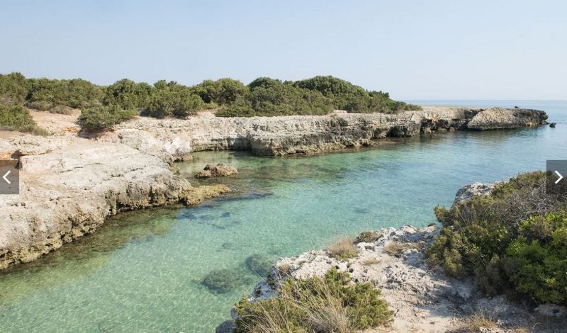 foto 27 Aluguer de frias entre particulares Ostuni maison Puglia Brndisi (provncia de)