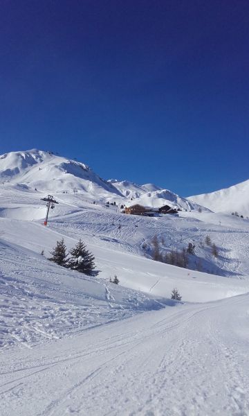 foto 15 Aluguer de frias entre particulares La Plagne studio Rdano-Alpes Sabia Outras