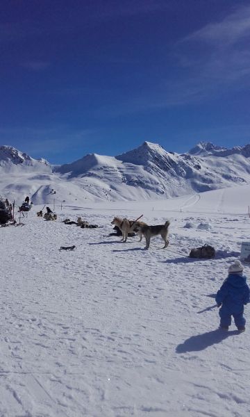 foto 17 Aluguer de frias entre particulares La Plagne studio Rdano-Alpes Sabia