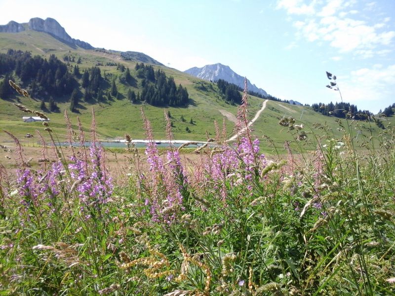 foto 12 Aluguer de frias entre particulares Thollon Les Mmises appartement Rdano-Alpes Alta Sabia