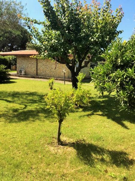 foto 23 Aluguer de férias entre particulares Alghero maison Sardenha Sássari (província de)