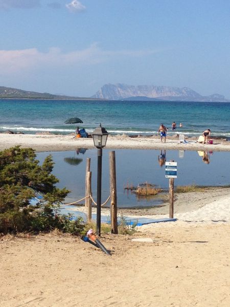 foto 4 Aluguer de férias entre particulares Budoni appartement Sardenha Olbia Tempio (província de) Vista dos arredores