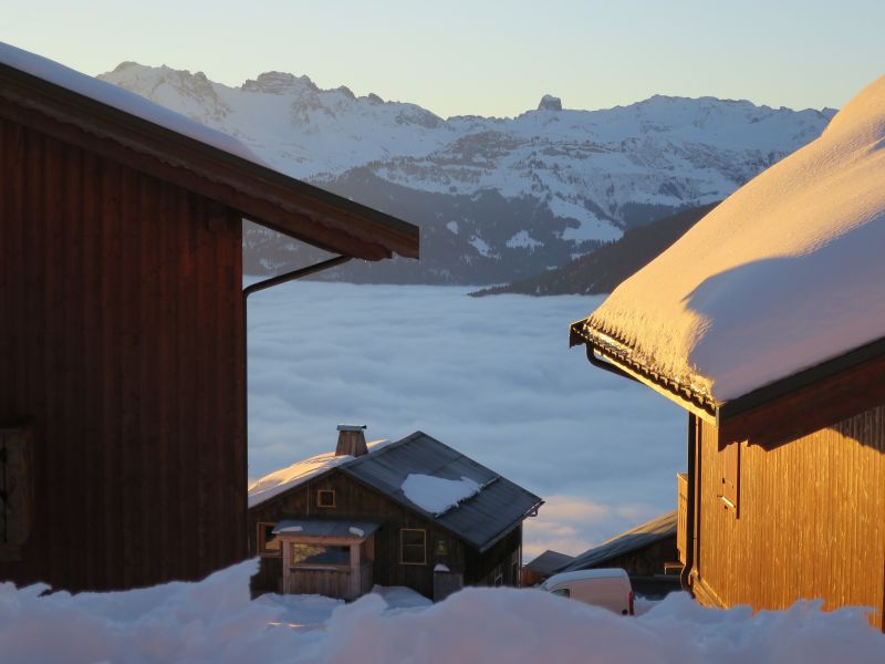 foto 27 Aluguer de férias entre particulares Les Saisies appartement Ródano-Alpes Sabóia Vista dos arredores