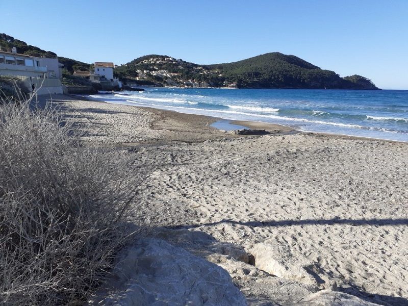 foto 0 Aluguer de frias entre particulares Saint Cyr sur Mer studio Provena-Alpes-Costa Azul Var