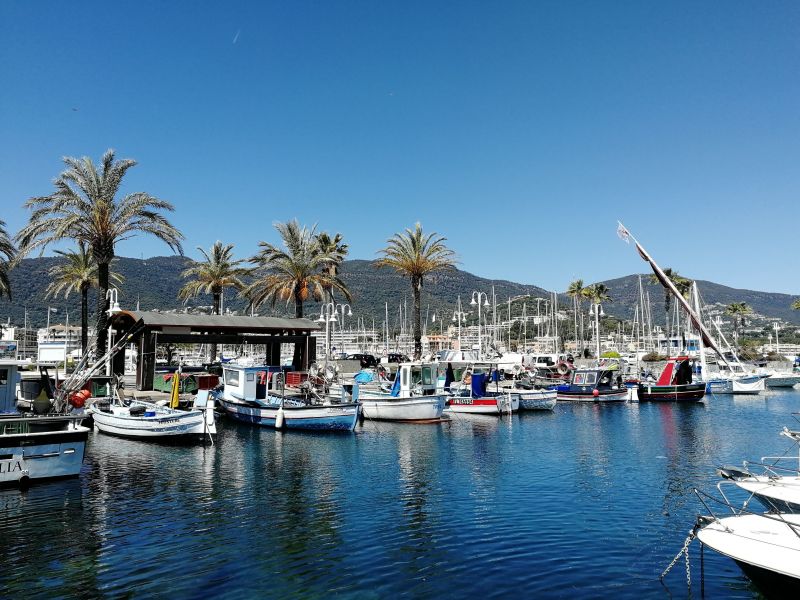 foto 0 Aluguer de frias entre particulares Cavalaire-sur-Mer studio Provena-Alpes-Costa Azul Var