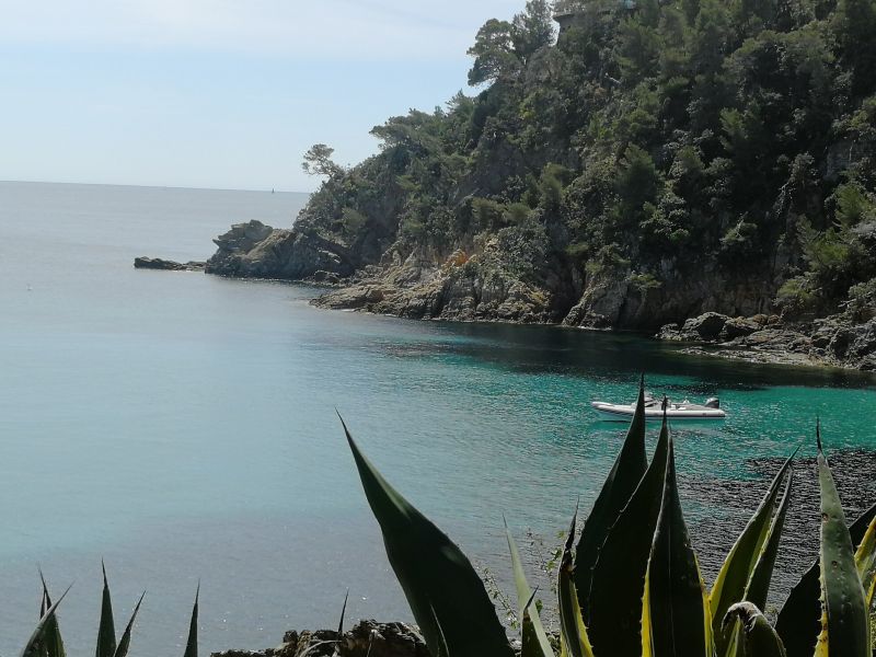 foto 7 Aluguer de frias entre particulares Cavalaire-sur-Mer studio Provena-Alpes-Costa Azul Var