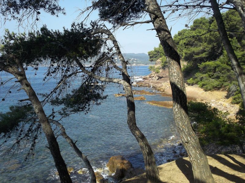 foto 9 Aluguer de férias entre particulares Toulon studio Provença-Alpes-Costa Azul Var