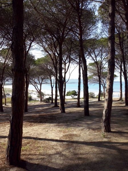 foto 17 Aluguer de férias entre particulares Budoni appartement Sardenha Olbia Tempio (província de)