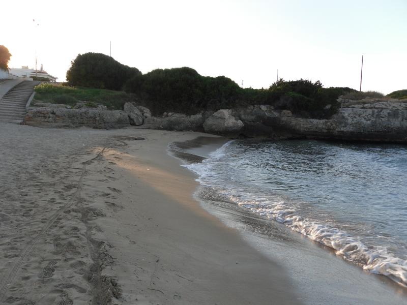 foto 26 Aluguer de férias entre particulares Ostuni appartement Puglia Bríndisi (província de) Praia