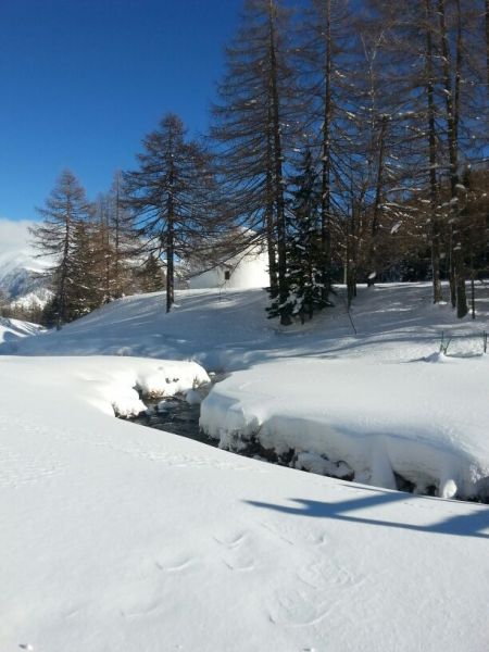 foto 3 Aluguer de frias entre particulares La Salle appartement Vale de Aosta Aosta Vista dos arredores