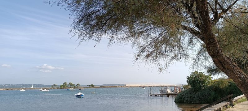 foto 19 Aluguer de frias entre particulares Andernos les Bains gite Aquitnia Gironda Vista dos arredores