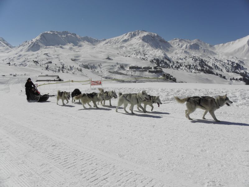 foto 24 Aluguer de férias entre particulares La Plagne appartement Ródano-Alpes Sabóia Vista dos arredores