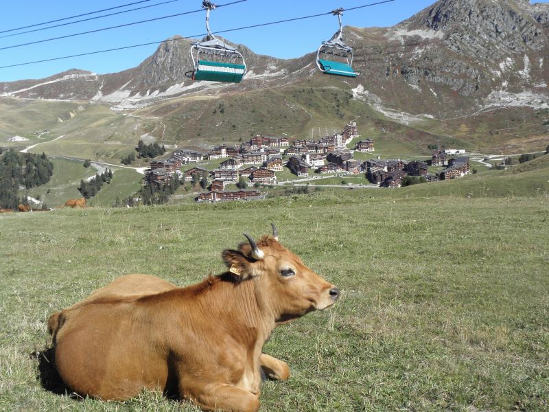 foto 29 Aluguer de férias entre particulares La Plagne appartement Ródano-Alpes Sabóia Vista dos arredores