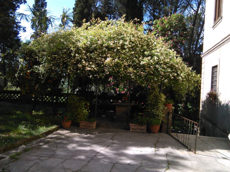 foto 25 Aluguer de frias entre particulares Camaiore appartement Toscana Lucca (provncia de) Jardim