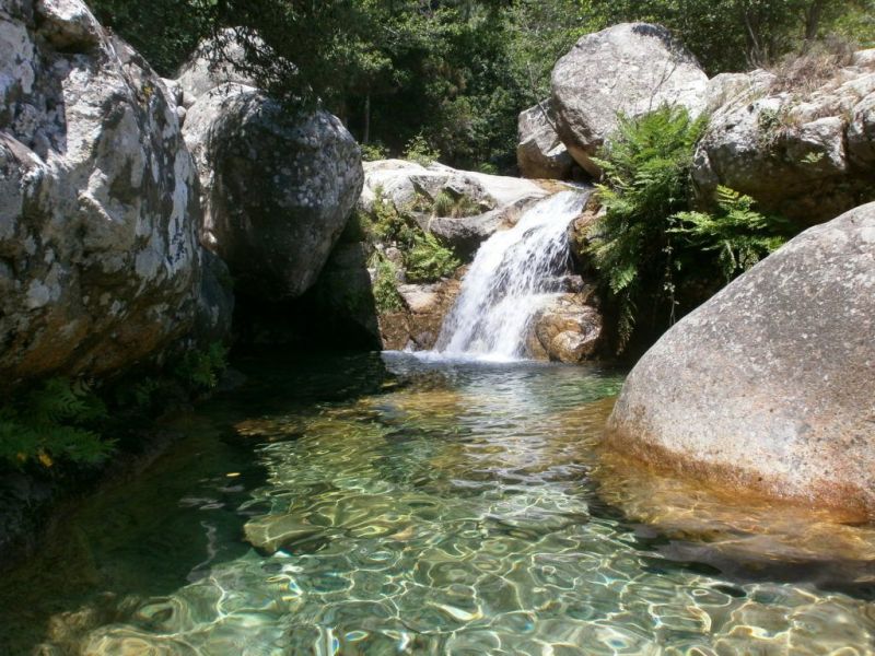 foto 20 Aluguer de férias entre particulares Porto Vecchio maison Córsega Córsega do Sul Vista dos arredores