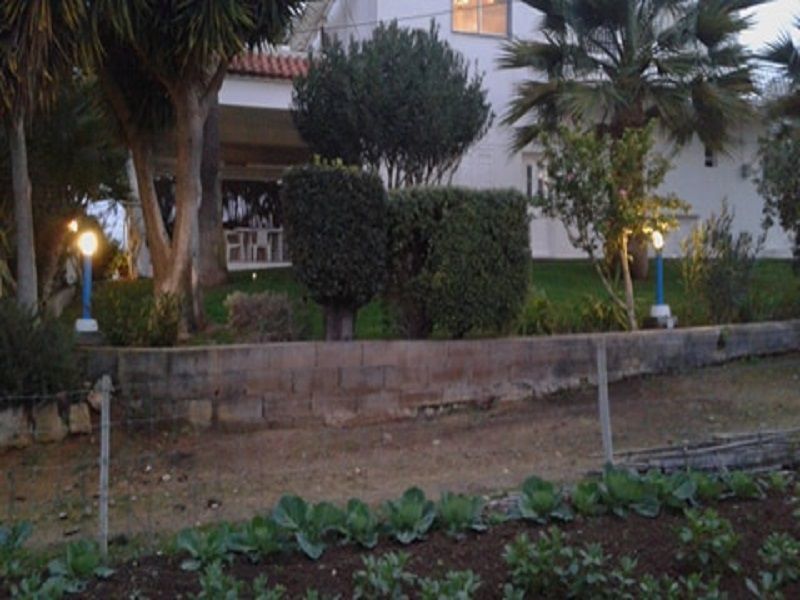 foto 10 Aluguer de frias entre particulares Almancil appartement Algarve  Jardim